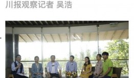 成都电视台新闻爆料,揭秘某知名企业涉嫌违规操作内幕